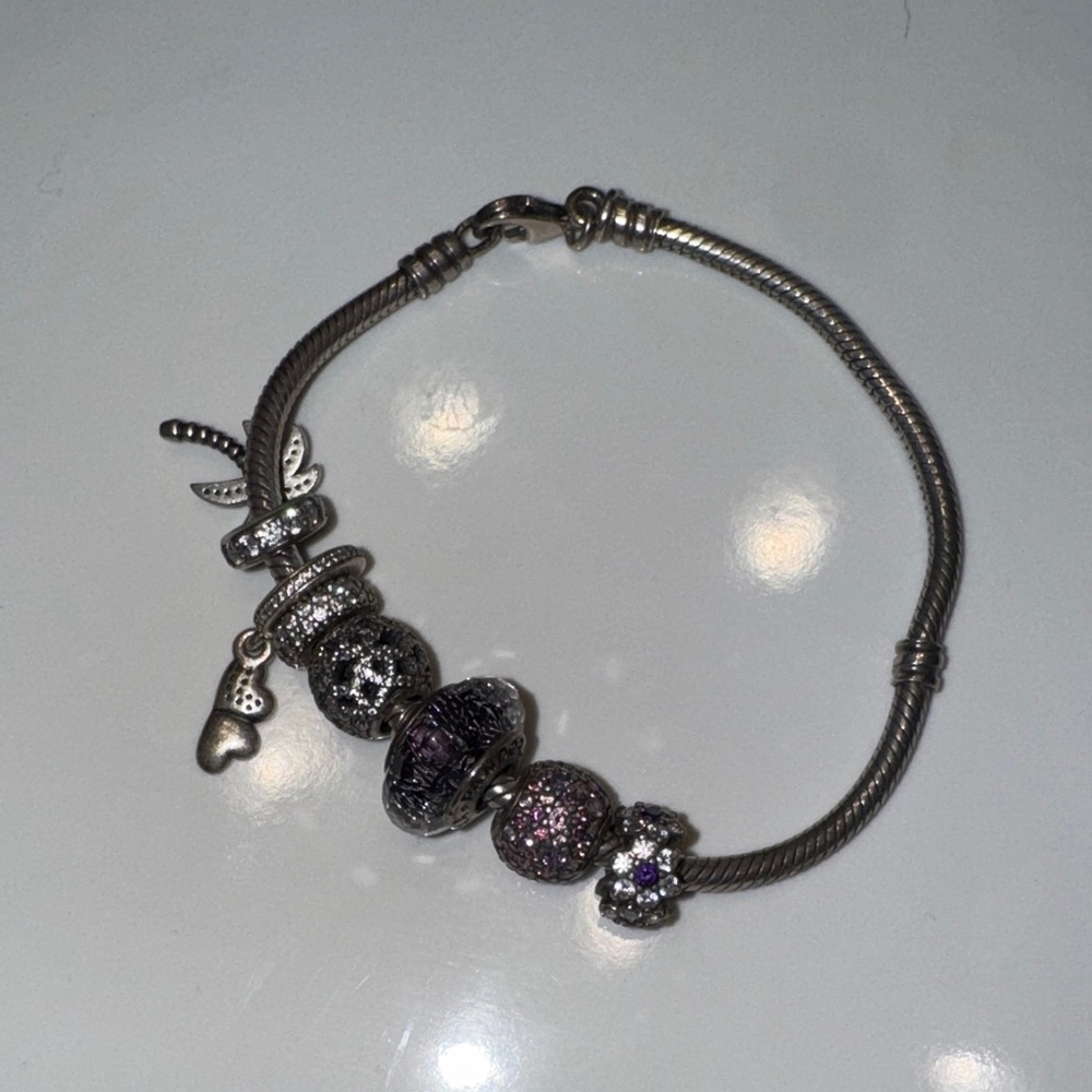 Pandora Bracelet and Charm Set